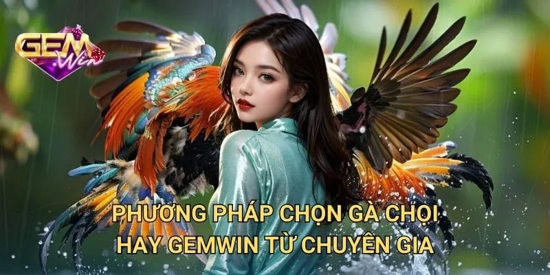 Phương Pháp Cách Chọn Gà Chọi Hay GEMWIN Từ Chuyên Gia
