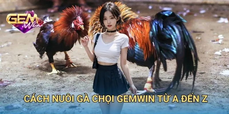 Cách Nuôi Gà Chọi Chuẩn Từ A Đến Z