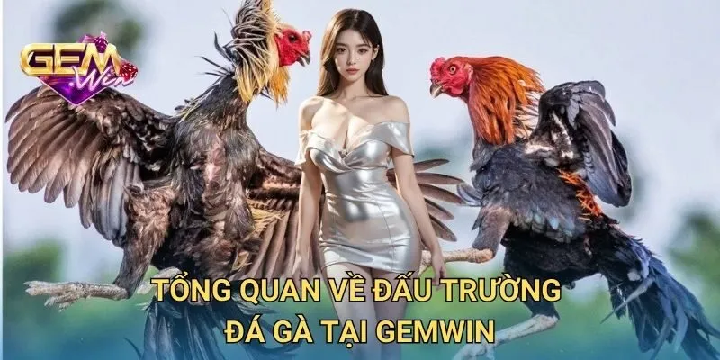 Tổng Quan Về Đấu Trường Đá Gà Tại GEMWIN