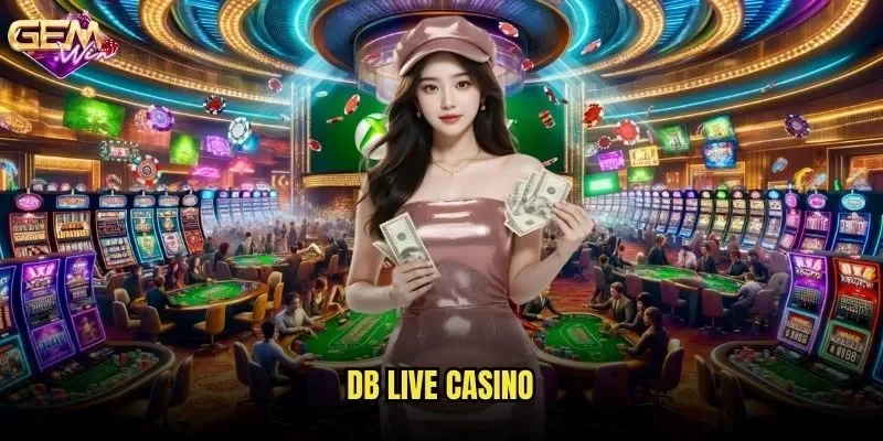 DB Live Casino